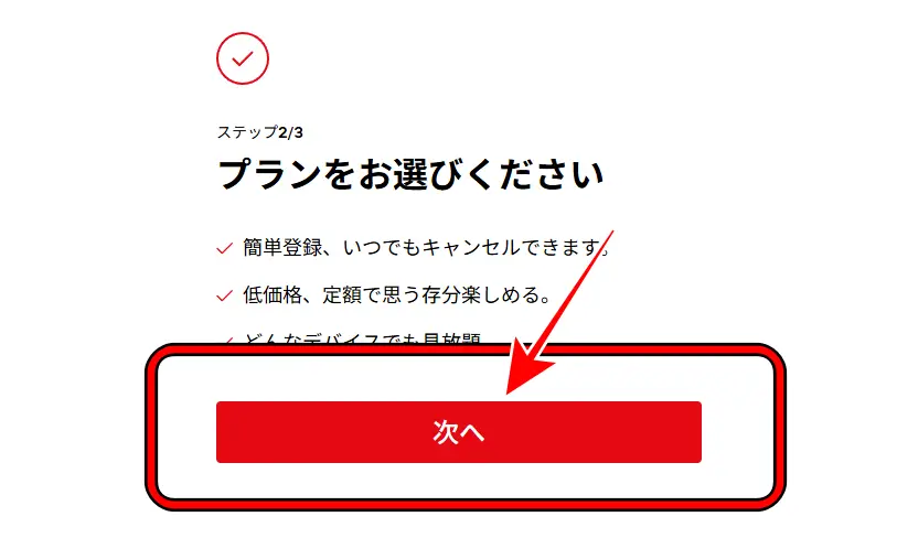 Netflixの登録画面③